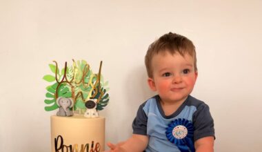 Urgent stem cell plea for baby boy with rare blood disorder – The Irish News