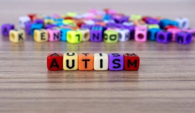 Alleged transfer of €1.5m by autism body to UK parent charity ‘possibly criminal’ – The Irish Times