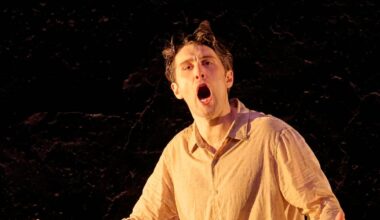 Five stars for Frank McGuinness’s startlingly revelatory play – The Irish Times