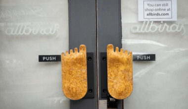 Allbirds stock on track for 400% gain this week as shoemaker pivots to AI