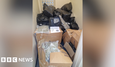 Arrests after €7m worth of cannabis seized - bbc.com