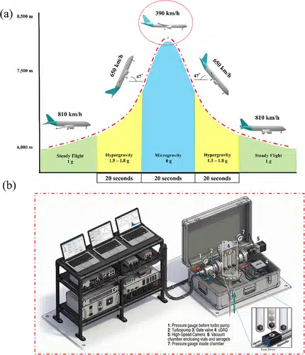 Advs75050 Fig 0001 M