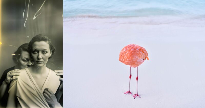 On the left, a black-and-white vintage portrait features two women, one standing behind the other. On the right, a headless flamingo stands on white sand near gentle blue ocean waves.