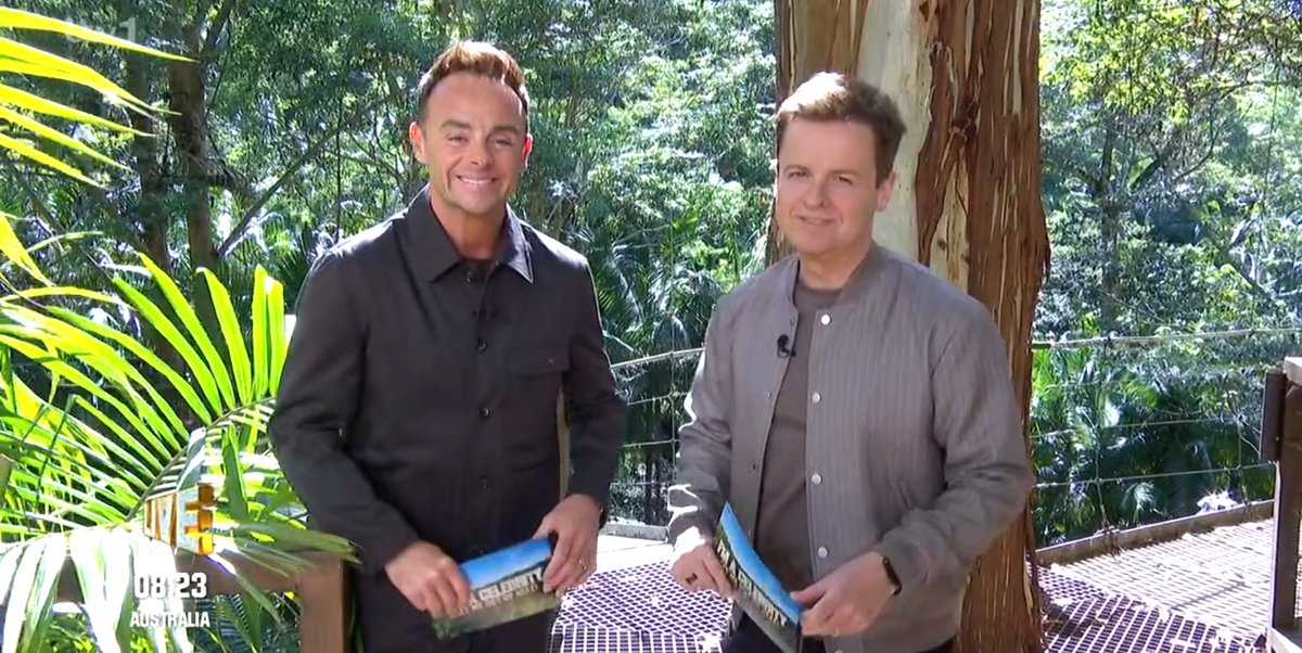 I'm a Celebrity... South Africa viewers already airing frustrations over "insufferable" campmate