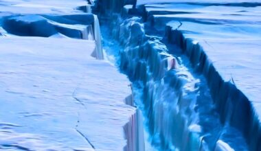 Antarctica Has Reached A Temperature Scientists Spent 20 Years Dreading