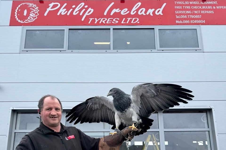 Philip Ireland of Philip Ireland Tyres Ltd in Kilkenny. Photo credit: Philip Ireland Tyres