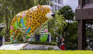 A large cartoon-like bear sculpture, which has been decorated with a blend of colourful patterns resembling the yellow and black markings of a cheetah and the black and white stripes of a tiger, as well as flowers and leaves. It is positioned on a plinth on a patch of grass beside two tall buildings and trees.