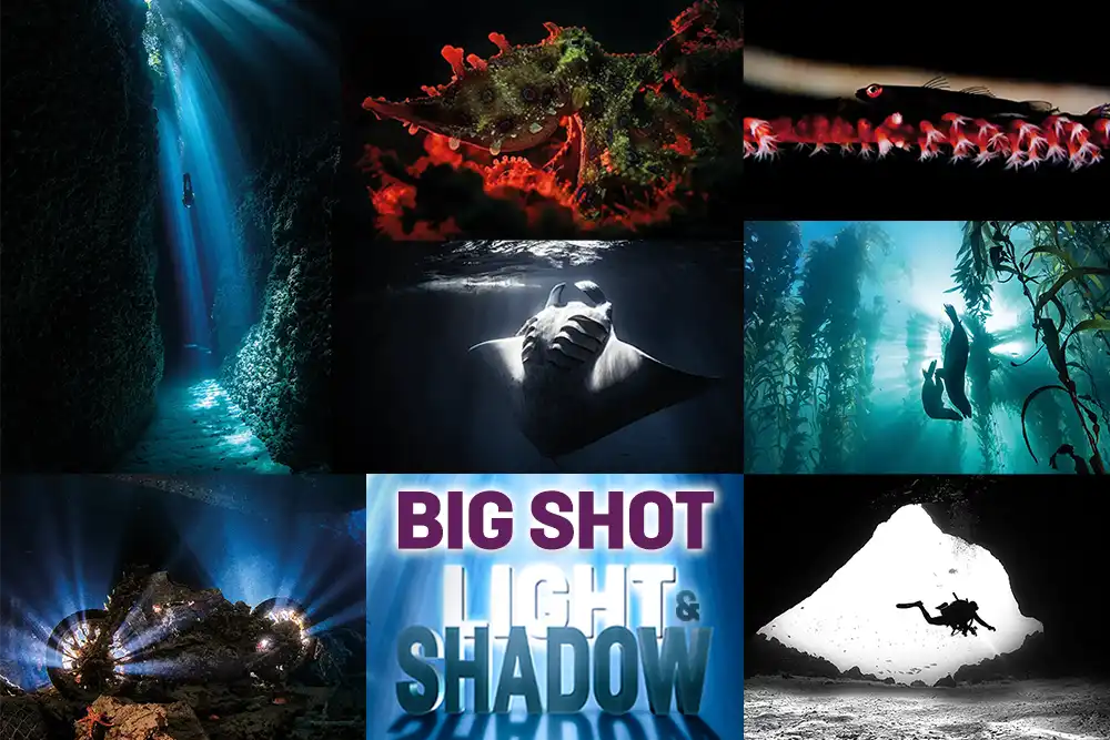 DIVE's Big Shot Light and Shadow - the winners