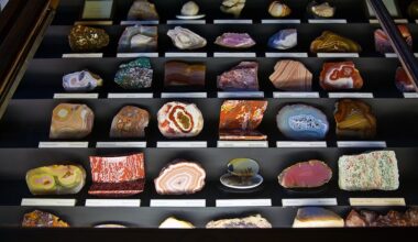 minerals collection in a display case