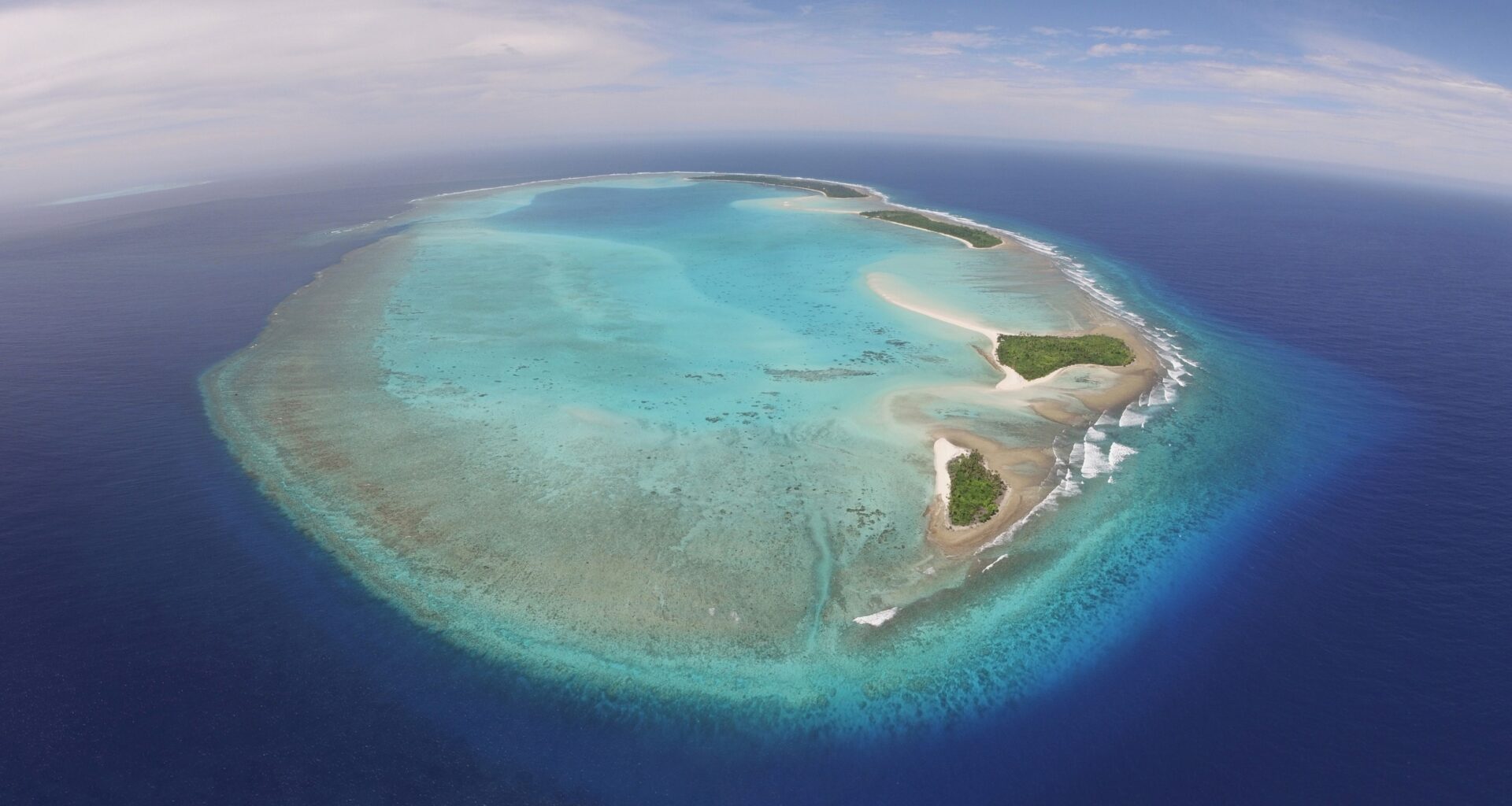 Corals can be bred to survive hotter oceans, but the process is risky