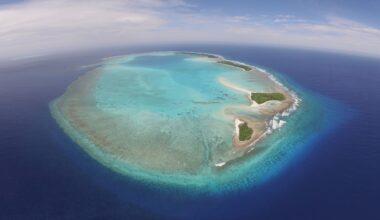 Corals can be bred to survive hotter oceans, but the process is risky