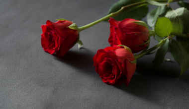 Cathal Nolan | NorthernSound