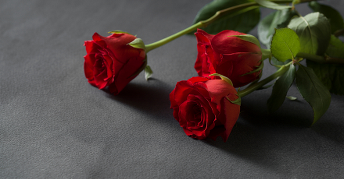 Cathal Nolan | NorthernSound