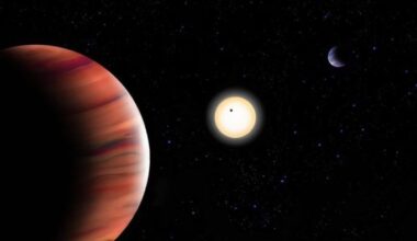 Artist's illustration of the TOI-201 system. (Credit: University of New Mexico/Tedi Vick)