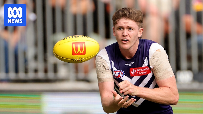 Fremantle Dockers player Nathan O'Driscoll opens up about mental health struggles in emotional post