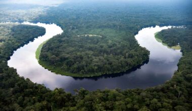 Aerial view of a dark blackwater river or lake winding through dense forest in the Congo Basin