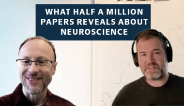 What a bird’s-eye view of half a million papers reveals about neuroscience