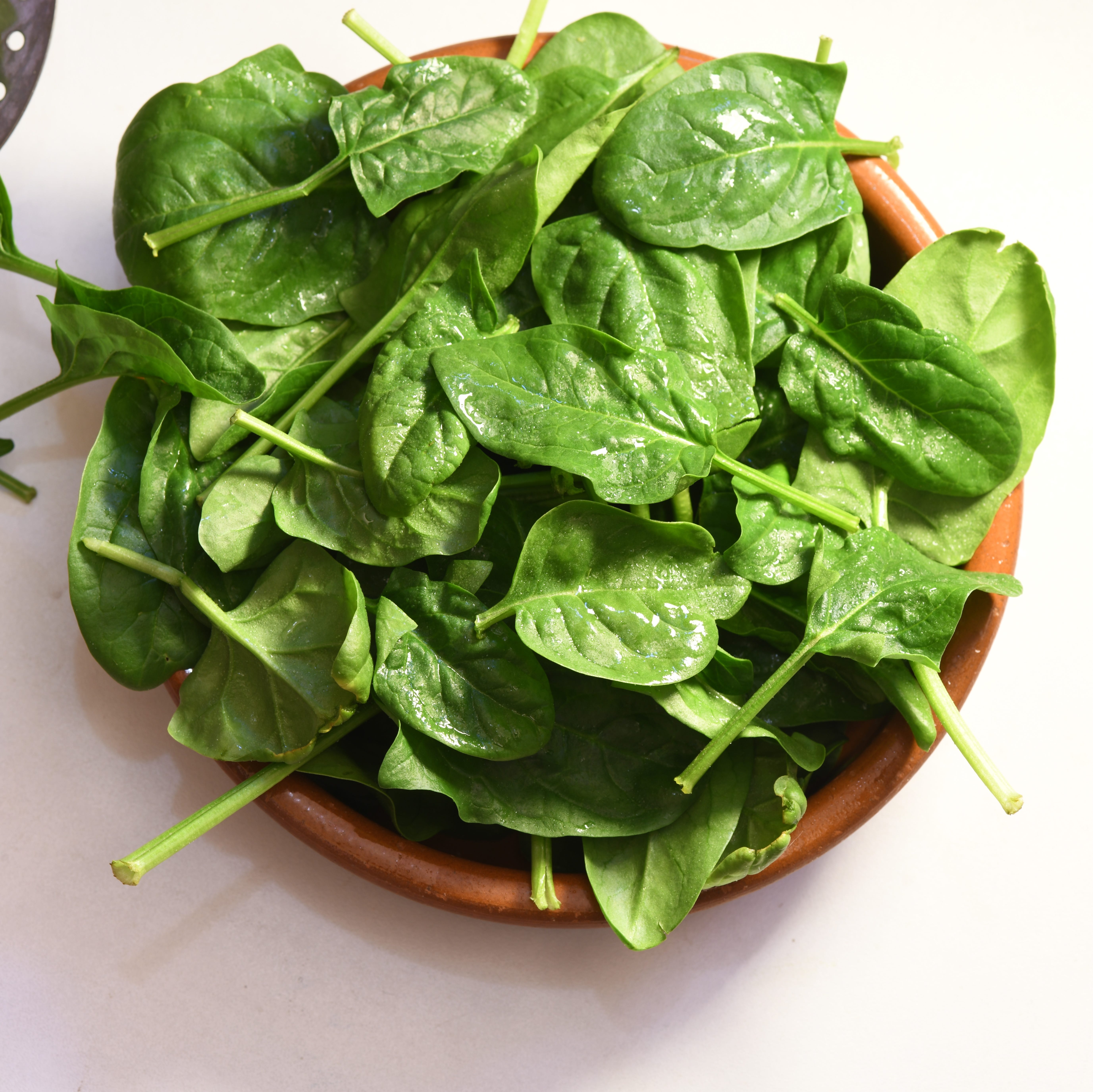 High angle view of leaf vegetable in bowl on white background,France