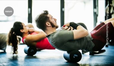 Immune cells have a surprising role in exercise endurance