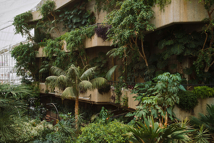 david altrath documents the jungle suspended inside london's barbican conservatory - 2