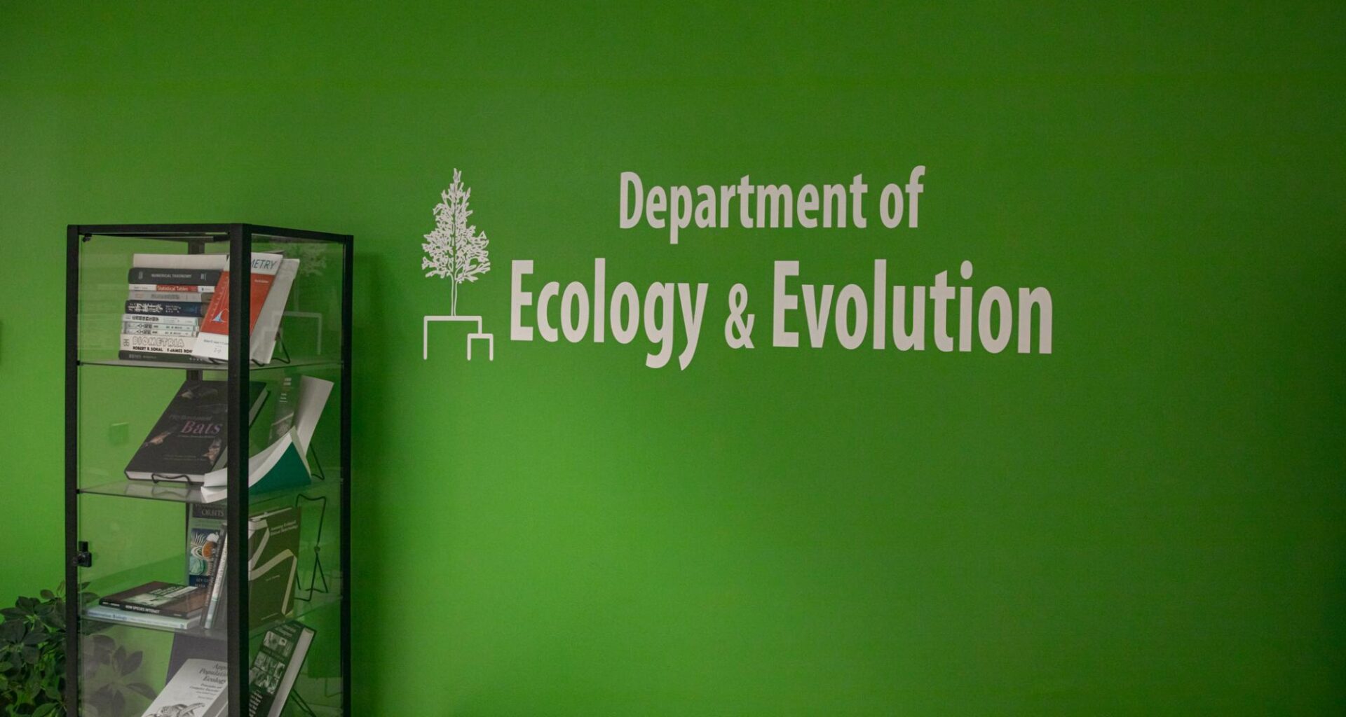 Stony Brook researchers help uncover how shrinking shrews may soon help in brain regeneration – The Statesman