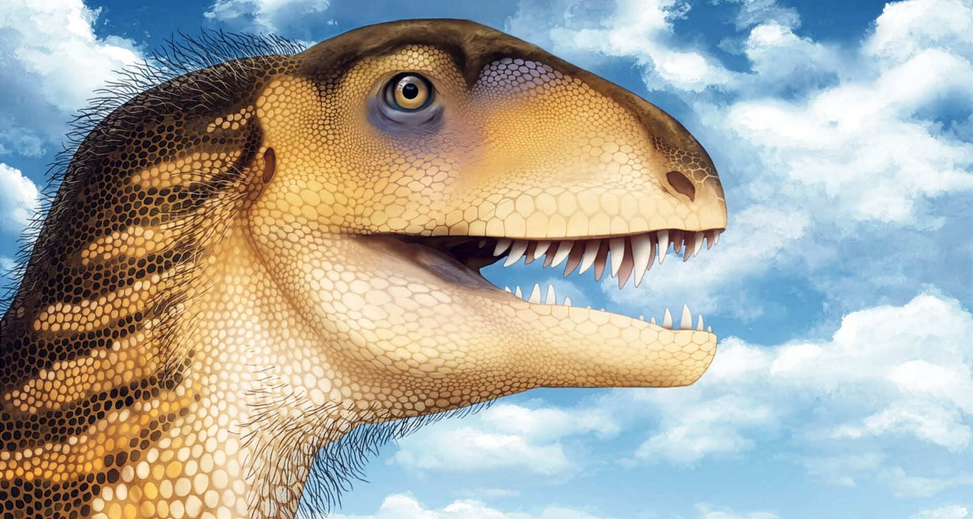 The posterior portion of the skull Ptychotherates bucculentus, meat-eating dinosaur, in posterior view. Crossed circle indicates posterior direction out of page. Scale bar represents 1 cm. Credit: Virginia Tech