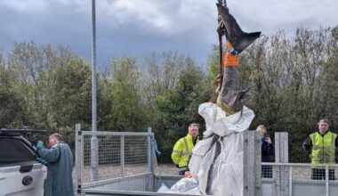 Rare shark washes up on west coast: ‘The elusive Greenland Shark has a life span of several centuries’