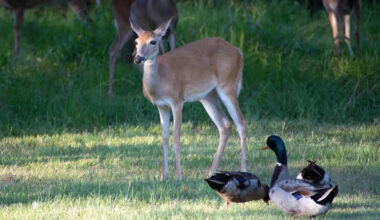 Yahoo lifestyle home