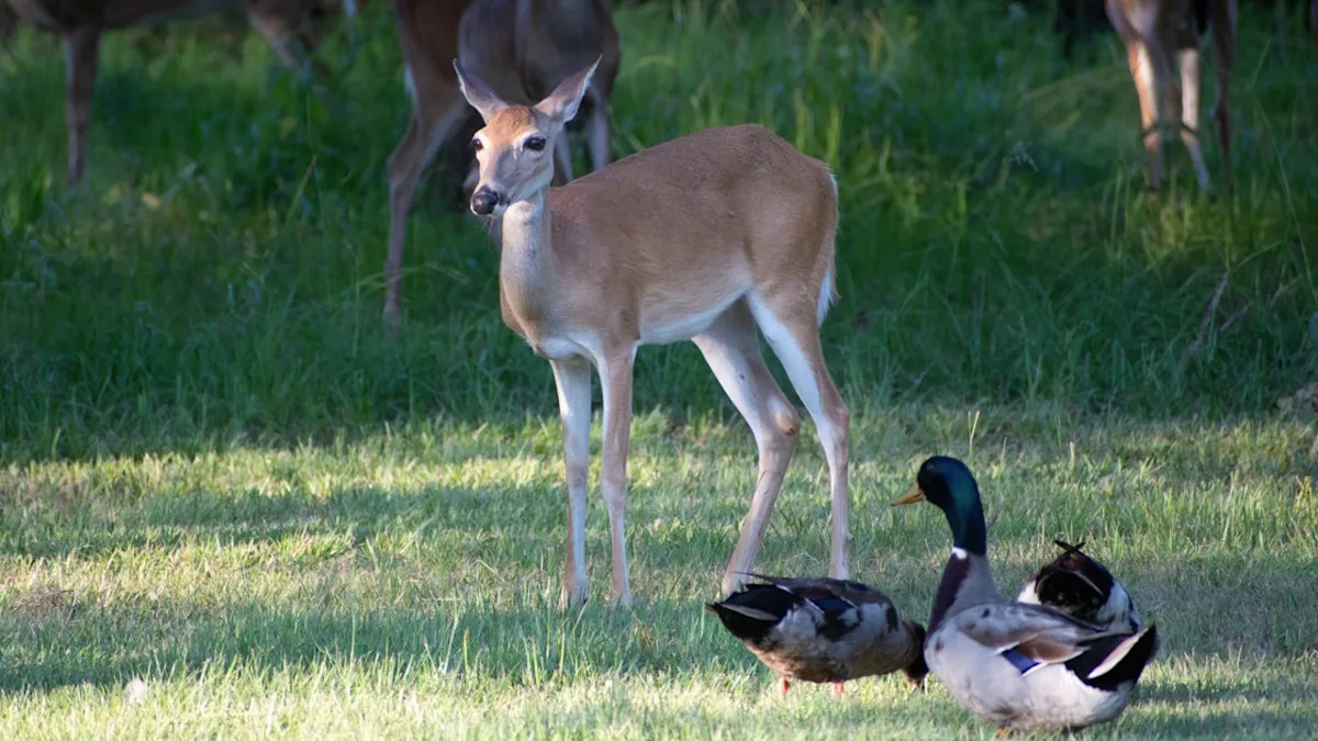 Yahoo lifestyle home