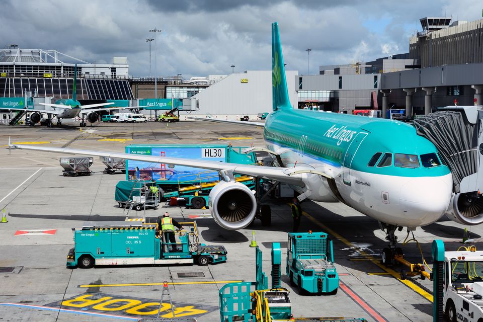 Aer Lingus has axed flights and training programmes. Stock photo: Getty