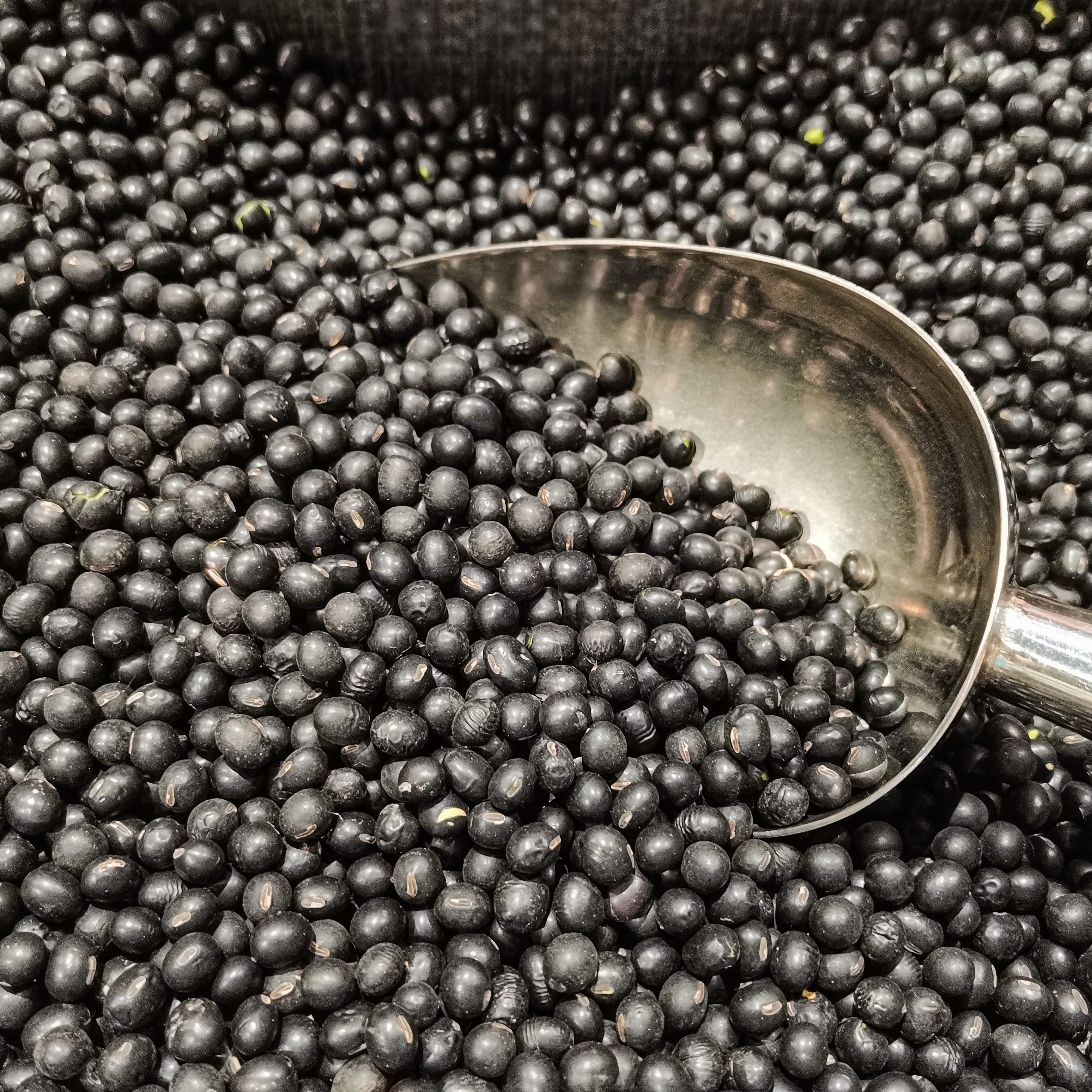 Black bean.A pile of black beans.