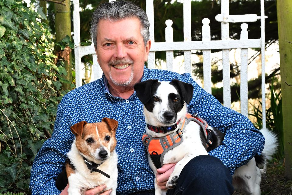 George Hamilton with his dogs Brenda and Ralph. Photo: Presseye/Stephen Hamilton