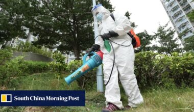 Hong Kong plans new trial of infecting male mosquitoes to halt offspring growth