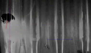 Wild Experiment Suggests Lasers and Graphene Could Propel Future Spacecraft