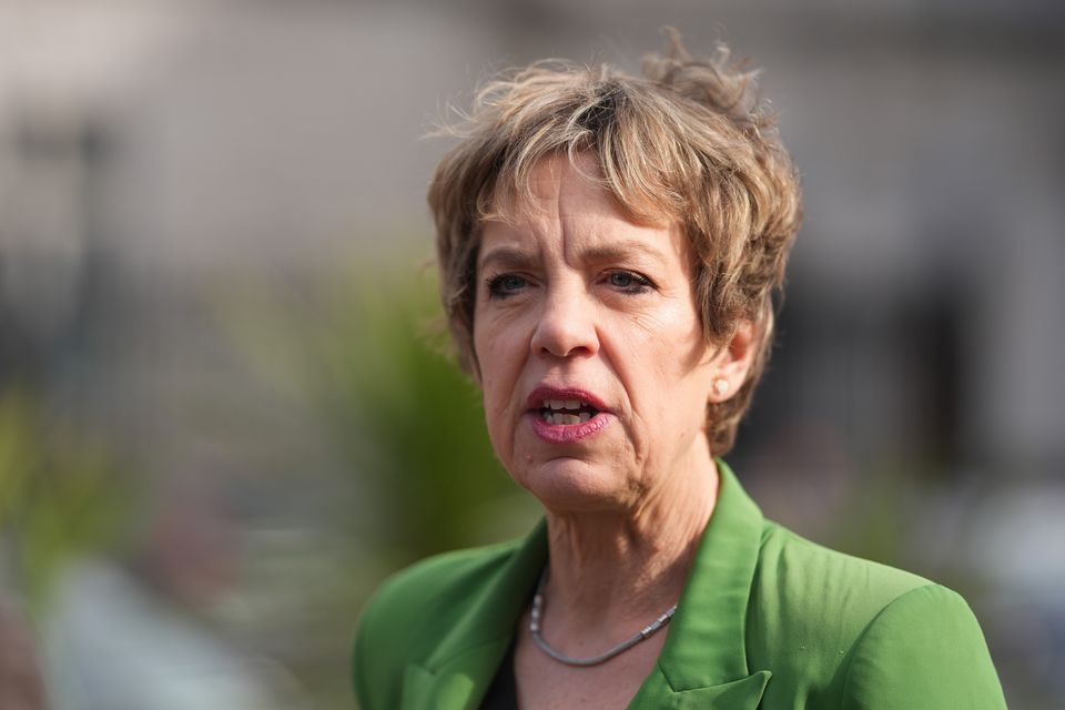 Labour leader Ivana Bacik said it is 'plain to see that a large number of people could be missing out'. Photo: Niall Carson/PA