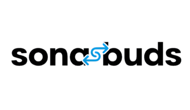 Exploring the Real-Time Earbuds Language Translator Powered by AI