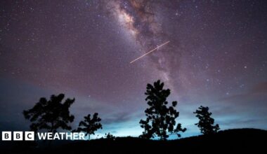 a view of the Eta Aquarid meteor shower in a starry night sky with four trees silhouetted