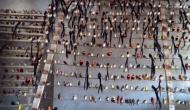 Global trade in wild birds is poorly monitored – the risks to wildlife, ecosystems and human health