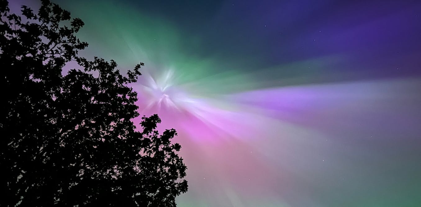 how technology can help you to notice nature in new ways