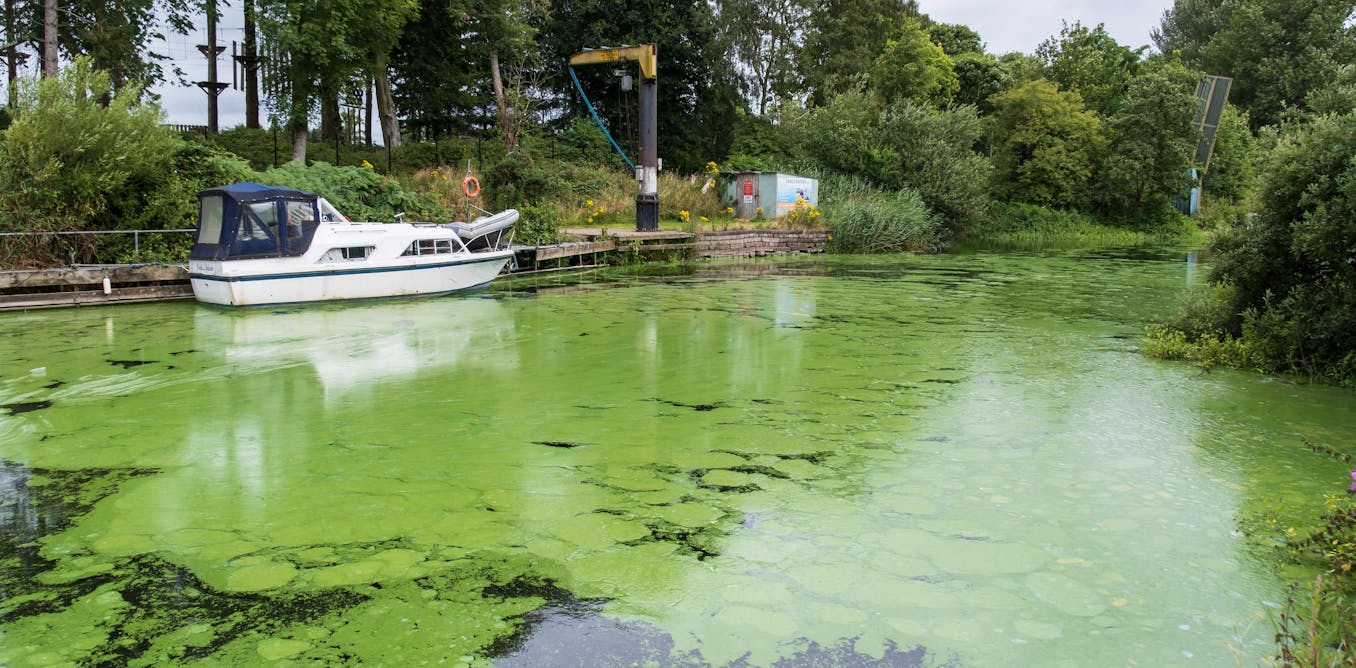 How commercial sand dredging is reshaping the largest lake in the UK – new study