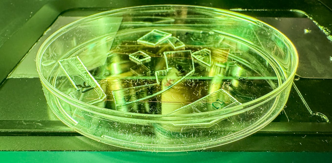 New plastic film covered in thousands of tiny pillars can tear apart viruses on contact