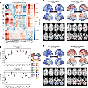 Changes in large-scale network functional coupling induced by psychedelic drugs, averaged across 4 drugs and 11 datasets. Credit: Nature Medicine
