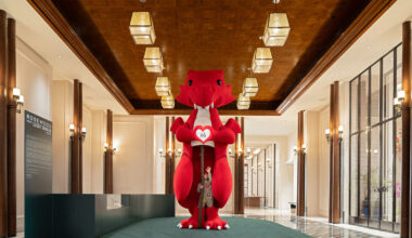 Red dragon on green carpet