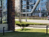 Daylight comparison, telephoto camera (5x): Galaxy S26+ - 116mm, f/2.4, ISO 25, 1/394s (4000x3000px) - Samsung Galaxy S26 Plus vs. Galaxy S26 Ultra