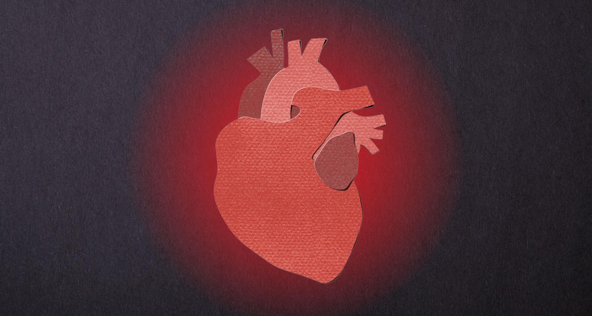 Heart Disease Is Preventable. So Why Does It Kill So Many of Us?