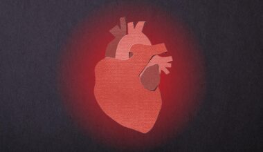 Heart Disease Is Preventable. So Why Does It Kill So Many of Us?