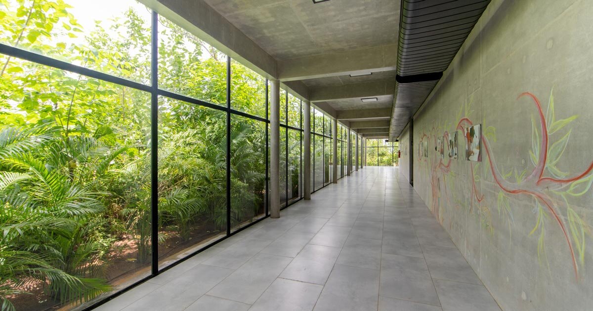 evolving green facades turn hyderabad school into a living forest