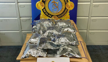 Man charged over ketamine seizure jumped from upstairs window when gardaí arrived, court hears