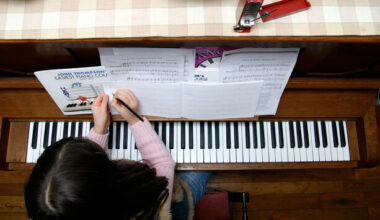 Tomorrow's Leaving Cert practicals for music postponed over protests - The Journal