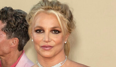 Britney Spears enters voluntary rehab weeks after arrest for driving under the influence - The Journal